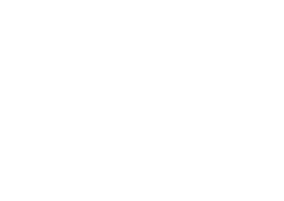WDN Logo